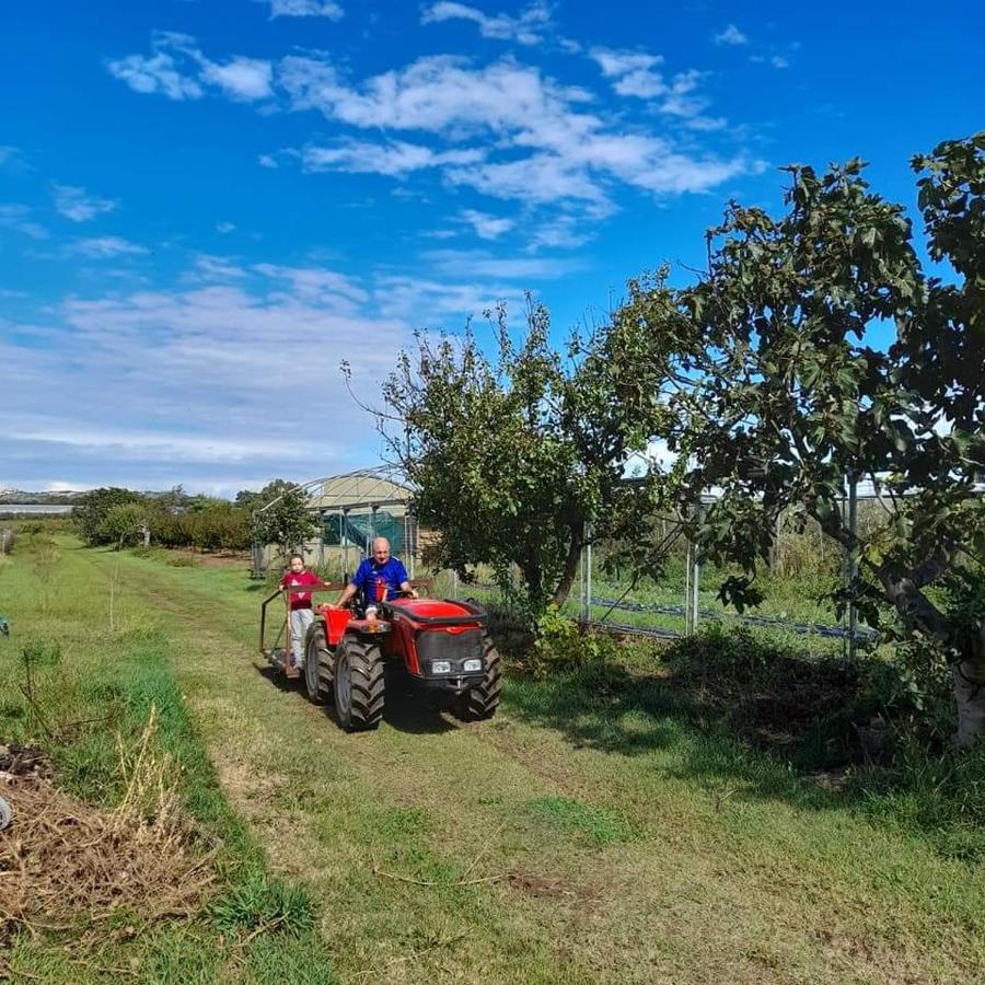 Agriturismo Il Cipresso Villa Vada Buitenkant foto