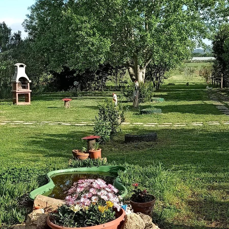 Agriturismo Il Cipresso Villa Vada Buitenkant foto