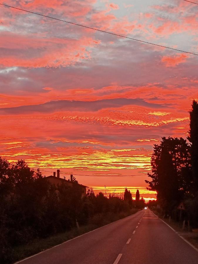 Agriturismo Il Cipresso Villa Vada Buitenkant foto