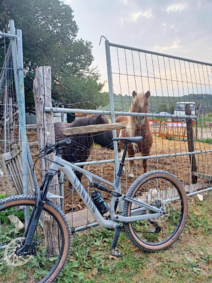 Agriturismo Il Cipresso Villa Vada Buitenkant foto