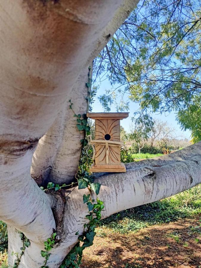 Agriturismo Il Cipresso Vada Buitenkant foto