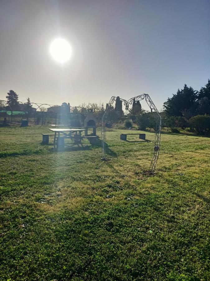 Agriturismo Il Cipresso Vada Buitenkant foto