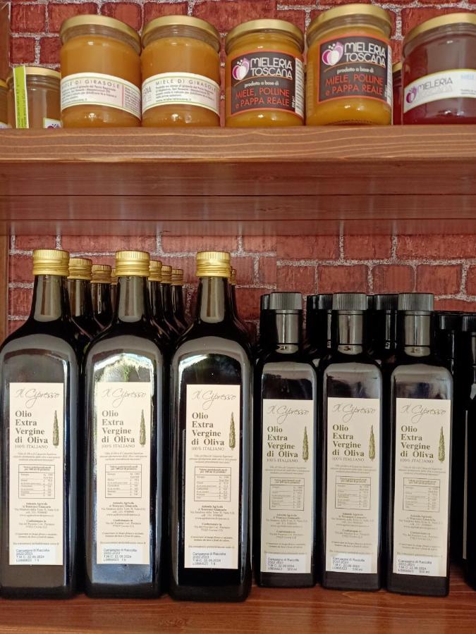 Agriturismo Il Cipresso Vada Buitenkant foto