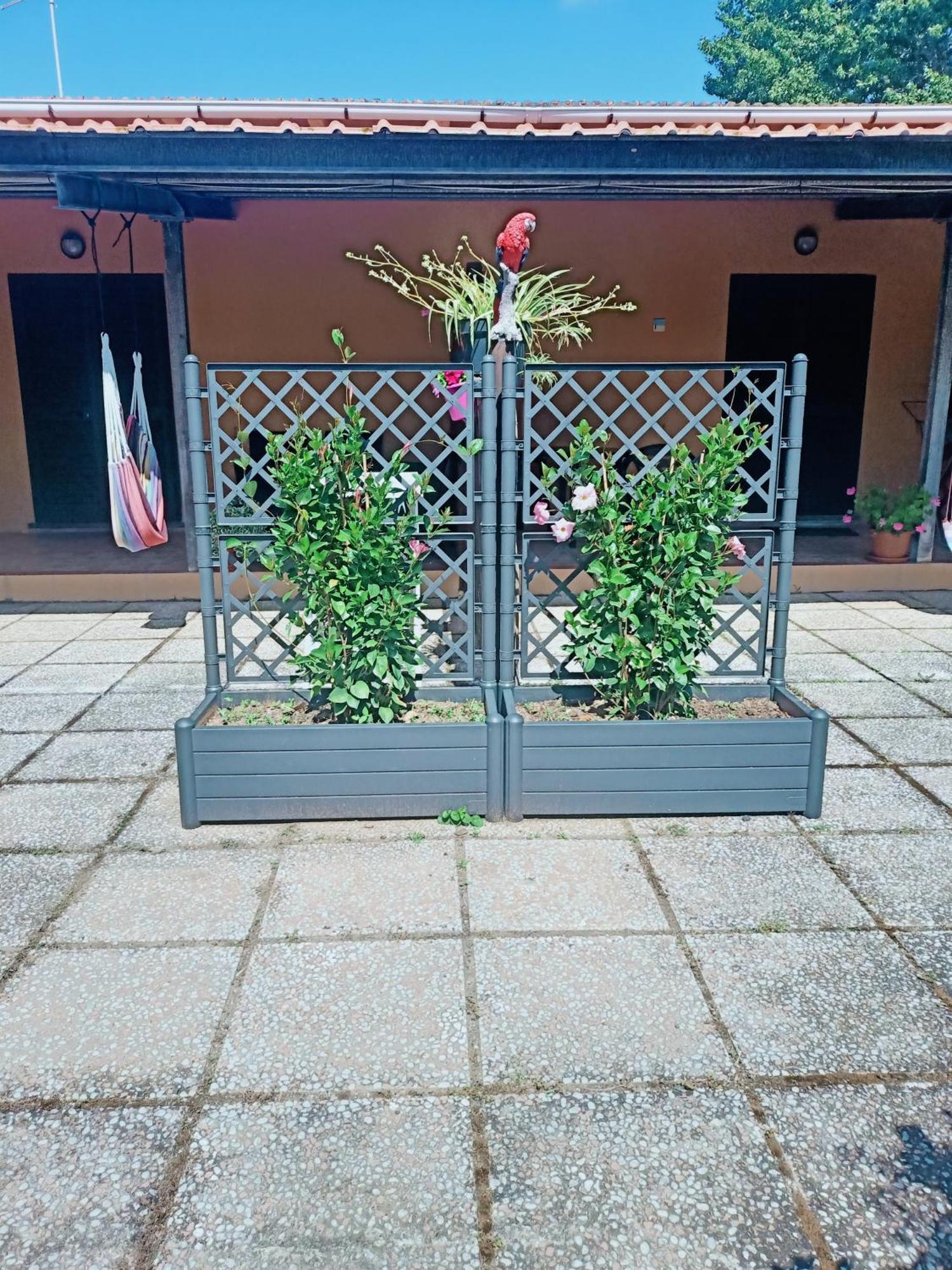 Agriturismo Il Cipresso Vada Buitenkant foto