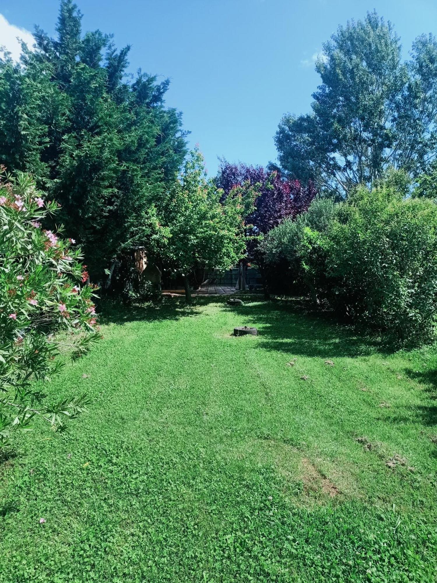 Agriturismo Il Cipresso Vada Buitenkant foto