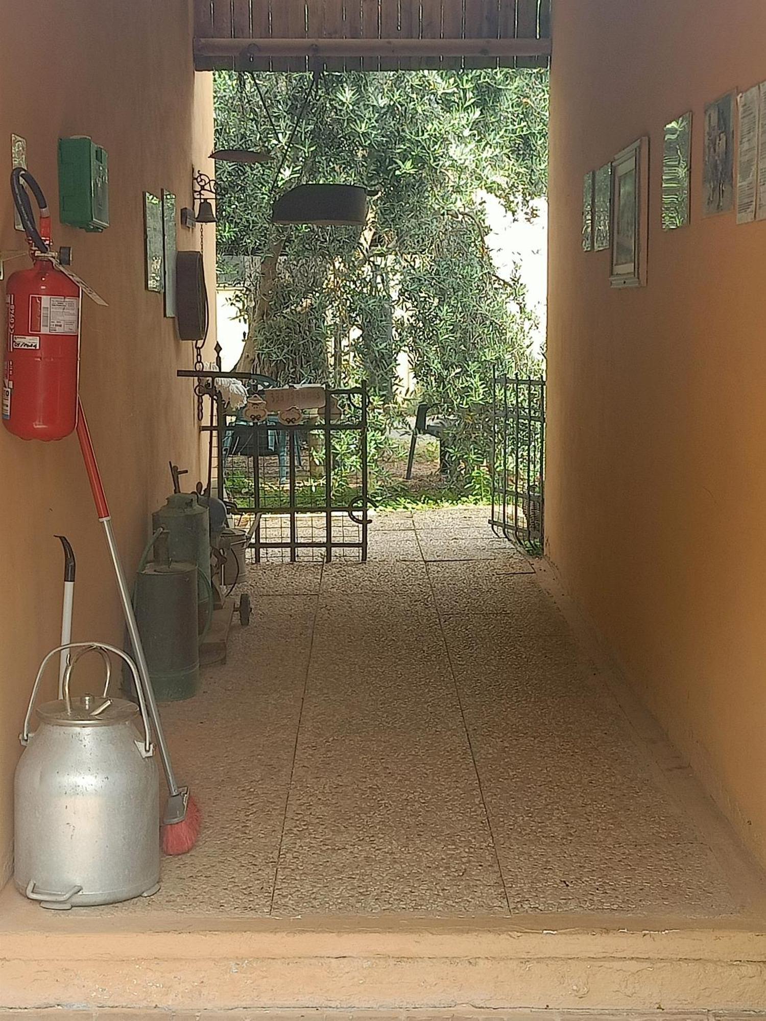 Agriturismo Il Cipresso Vada Buitenkant foto