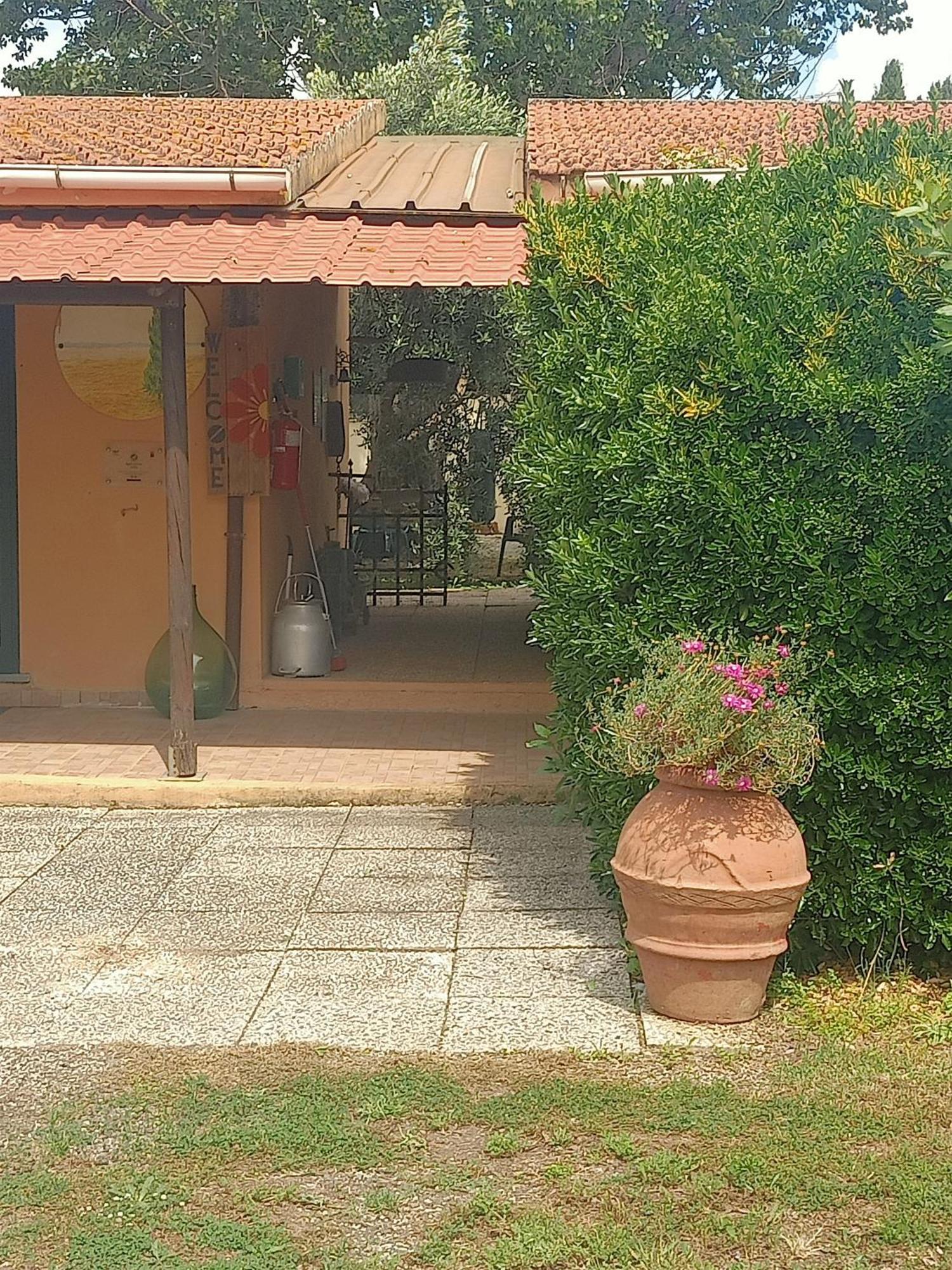Agriturismo Il Cipresso Vada Buitenkant foto