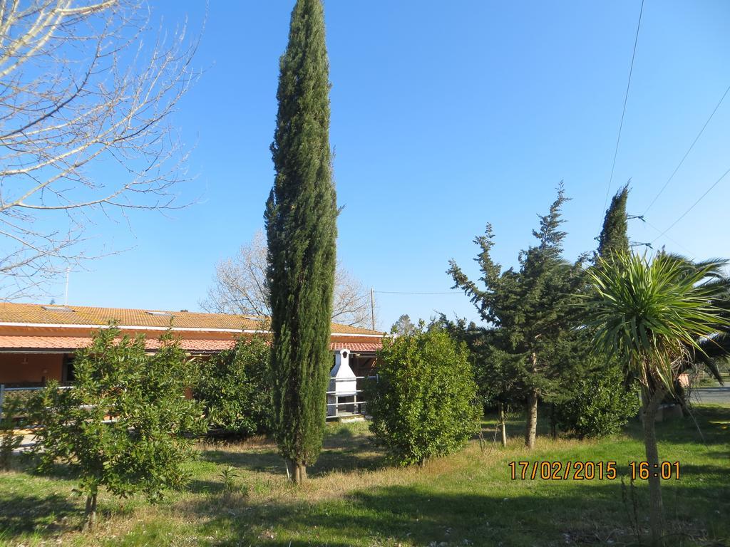 Agriturismo Il Cipresso Villa Vada Buitenkant foto