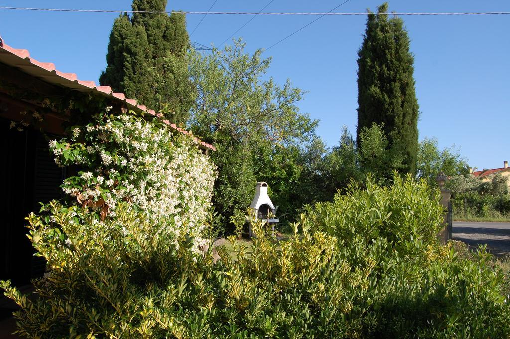 Agriturismo Il Cipresso Villa Vada Buitenkant foto