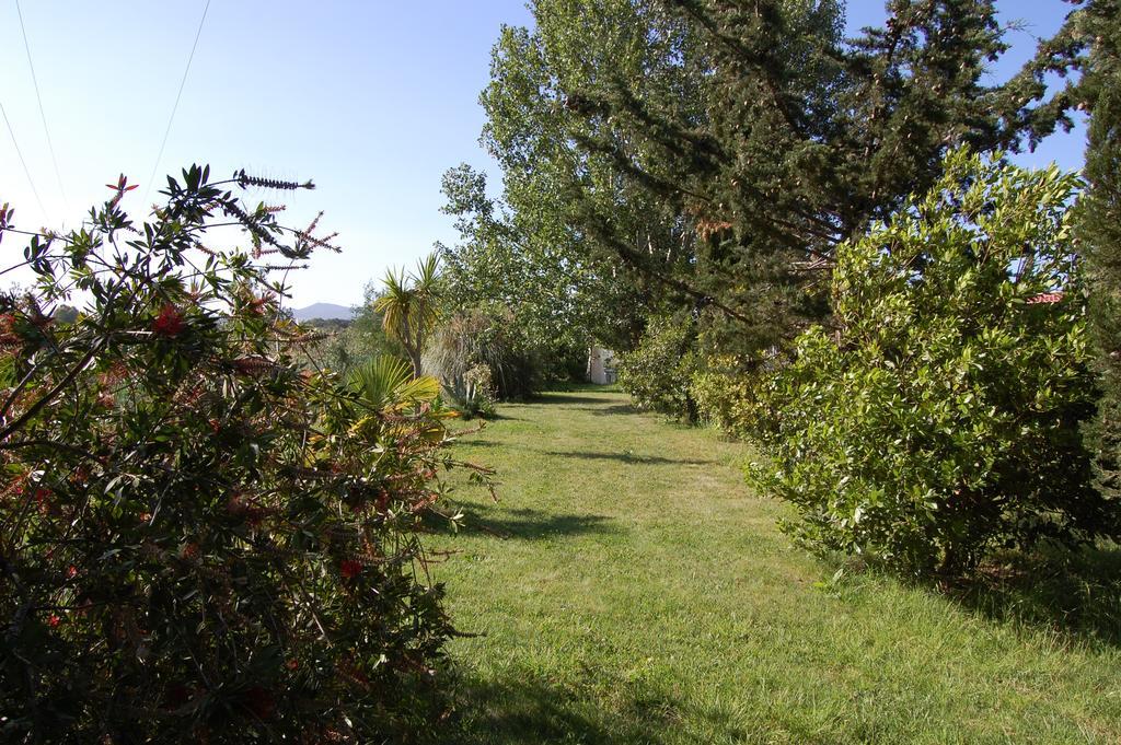 Agriturismo Il Cipresso Vada Buitenkant foto